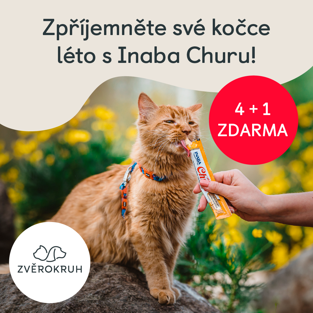 Letní odměny pro mazlíčky a další červencové akce Zvěrokruh